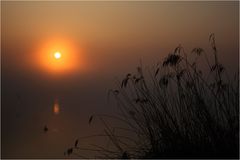 Nebel-Sonnen-Stimmung