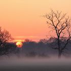 Nebel & Sonnenaufgang