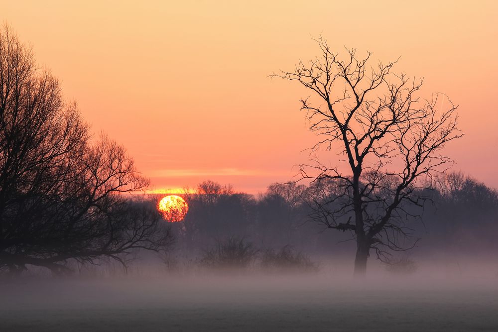 Nebel & Sonnenaufgang