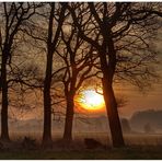 Nebel & Sonnenaufgang heute (9.3.2014) um 7:07