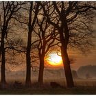 Nebel & Sonnenaufgang heute (9.3.2014) um 7:07