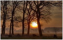 Nebel & Sonnenaufgang heute (9.3.2014) um 7:07