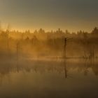 Nebel Sonnenaufgang im Moorgebiet