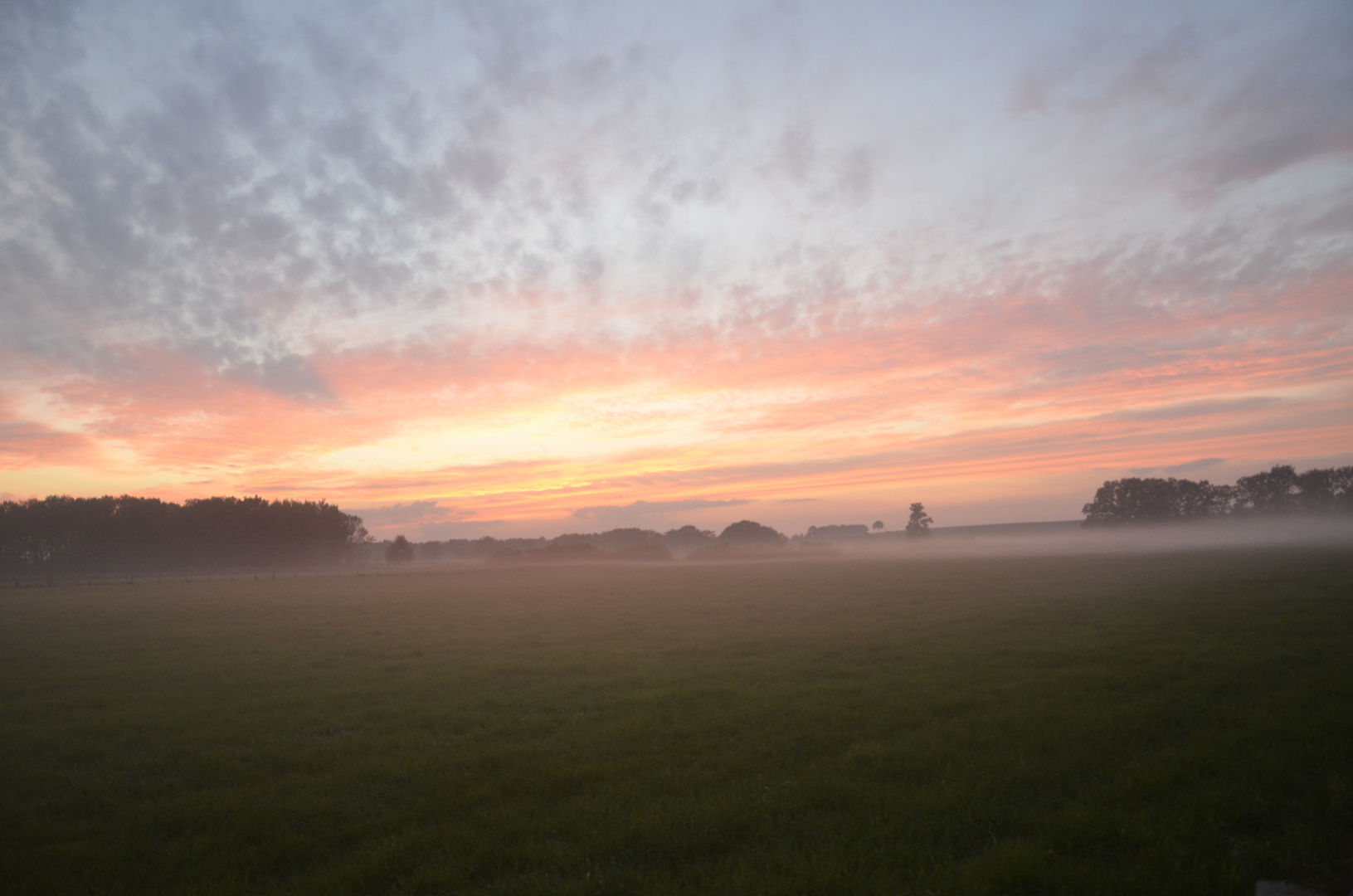 Nebel + Sonnenuntergang