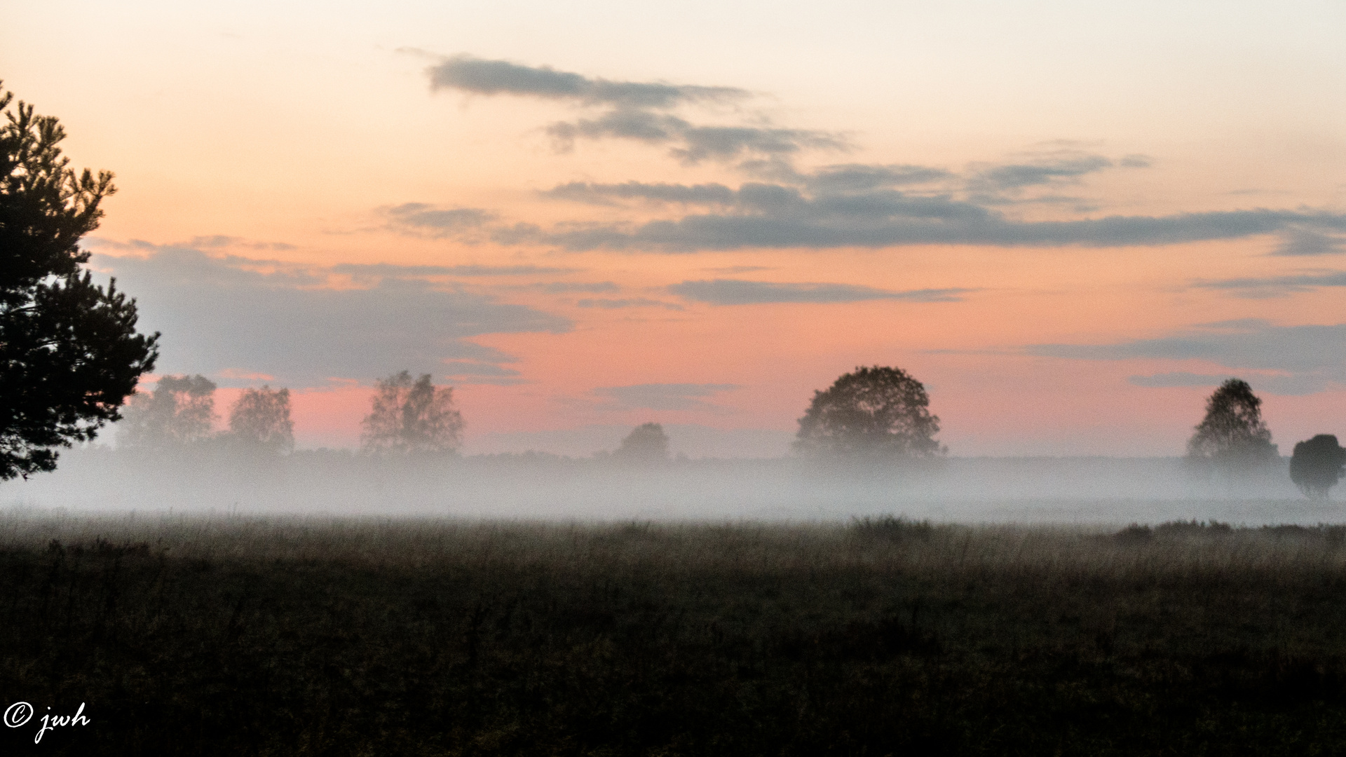 Nebel Sonnenuntergang Heide 