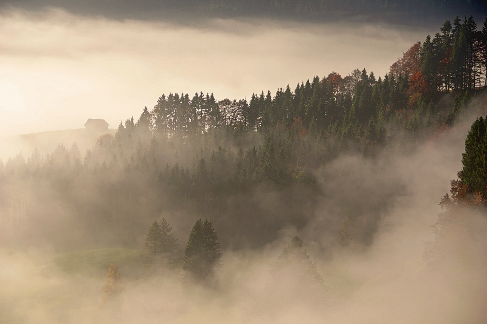 Nebel, soweit man sieht . . .