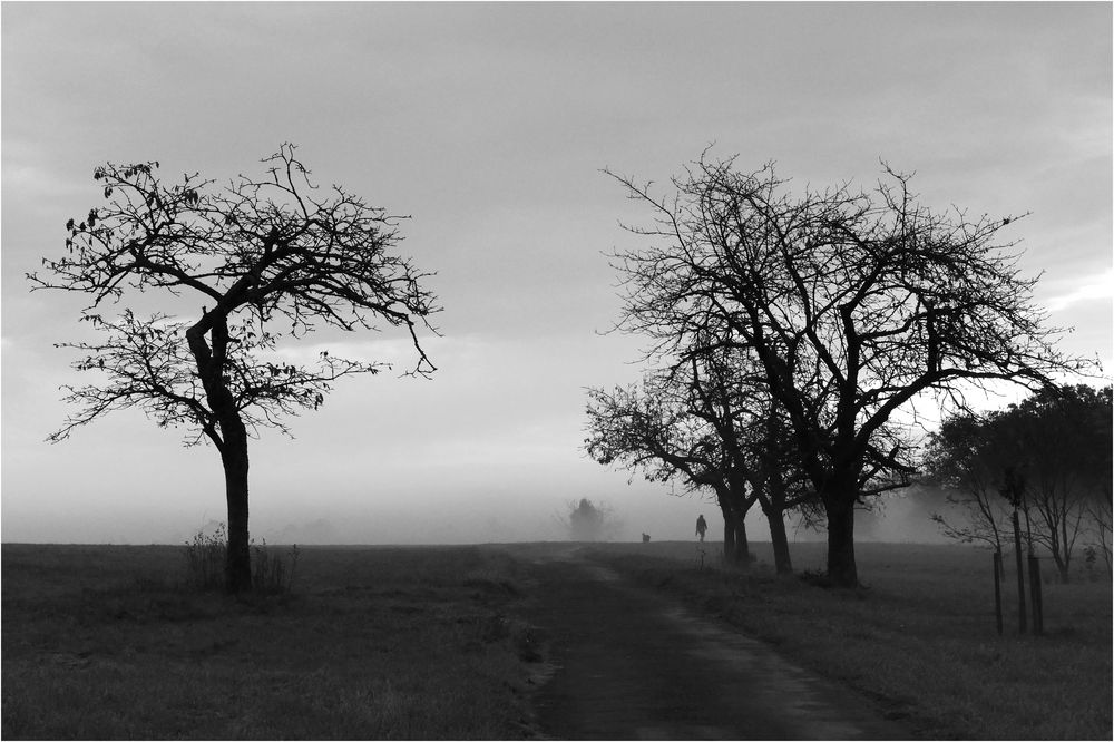 Nebel-Spaziergang