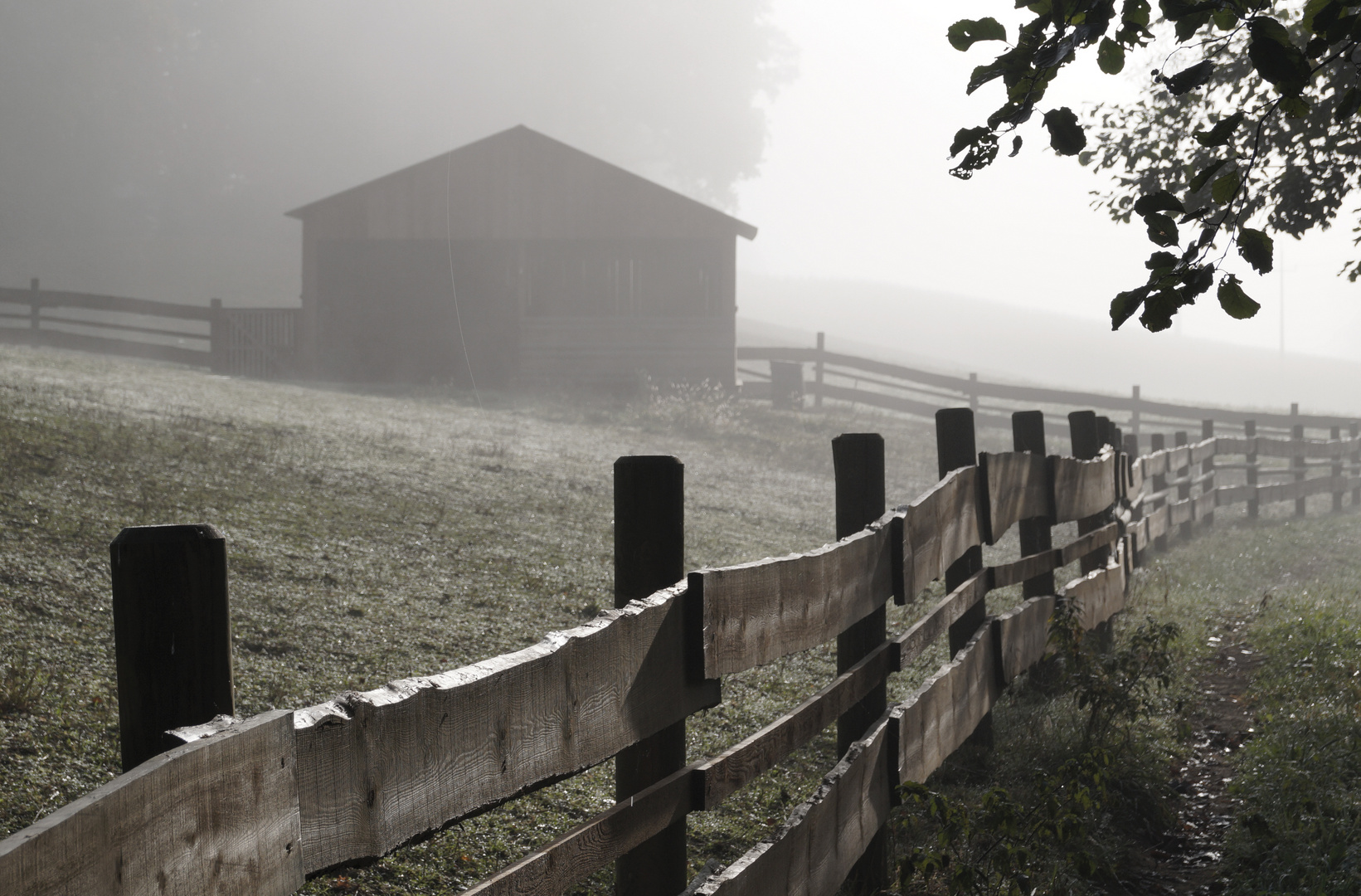 Nebel Stall