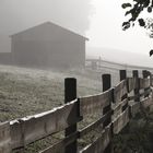 Nebel Stall
