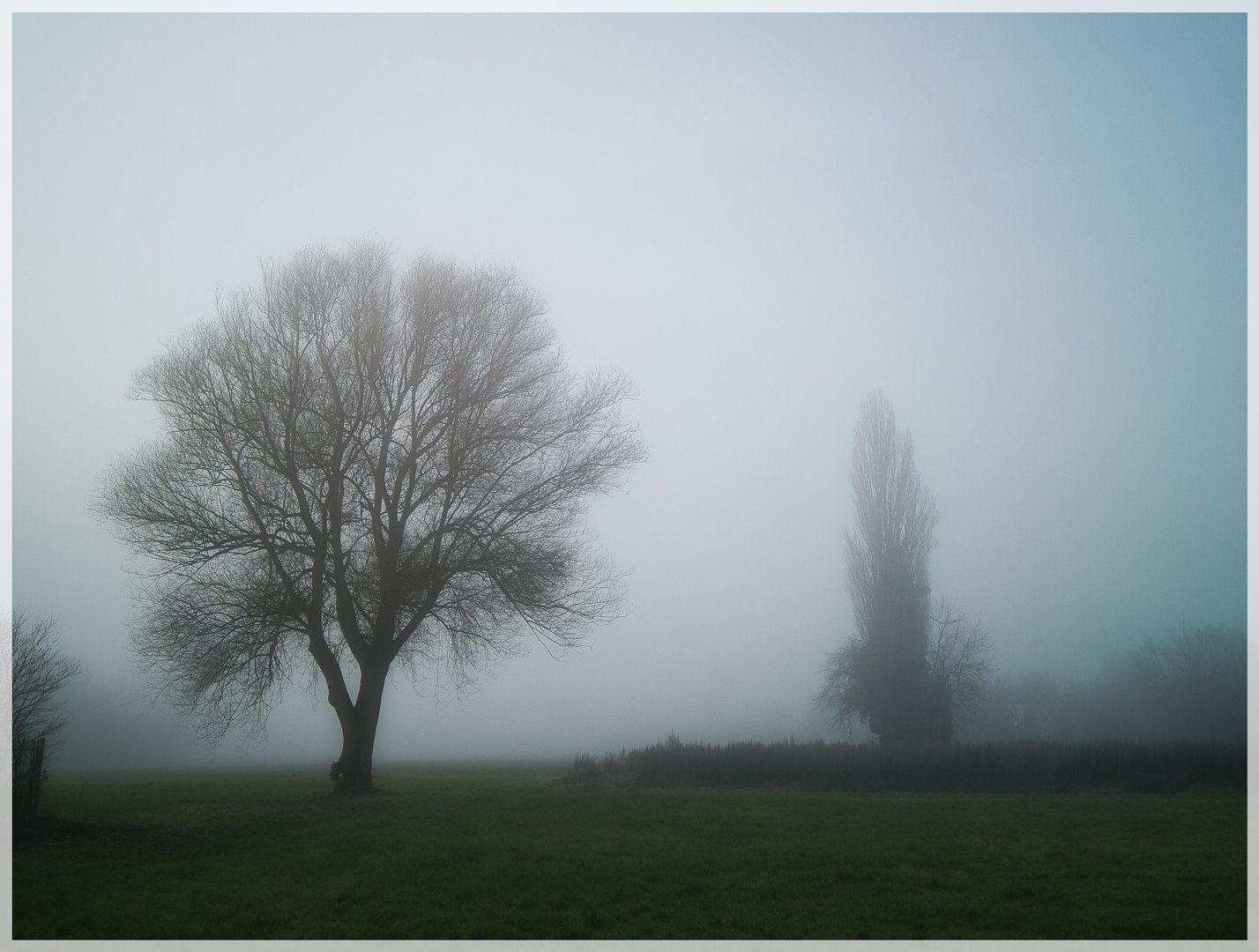 Nebel statt Schnee...