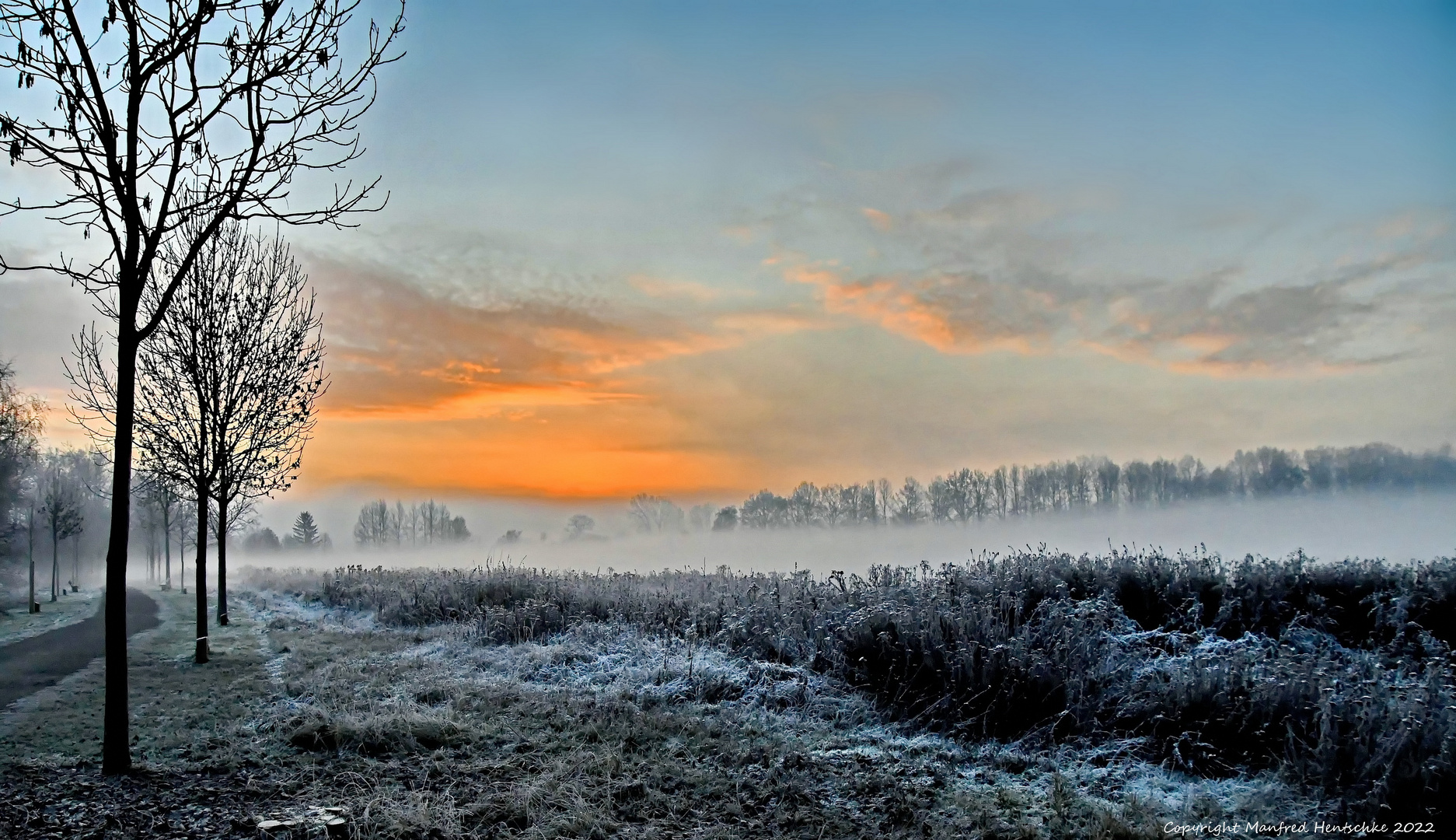 Nebel steigen 