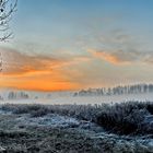 Nebel steigen 