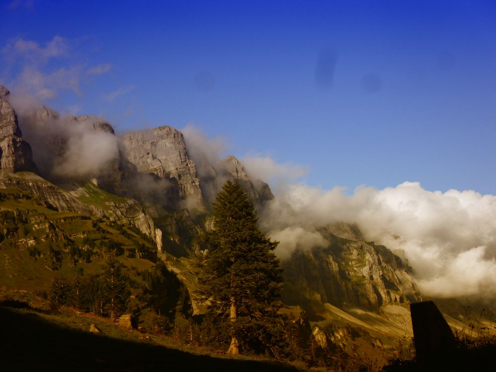 Nebel steigt auf ....