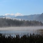 Nebel steigt auf