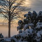 Nebel steigt auf 