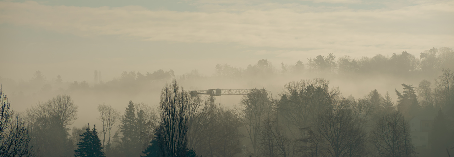 Nebel steigt auf