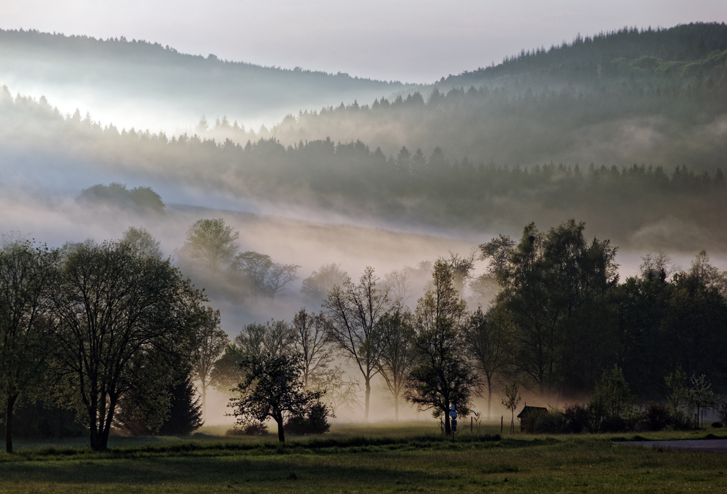 Nebel steigt auf