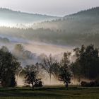 Nebel steigt auf