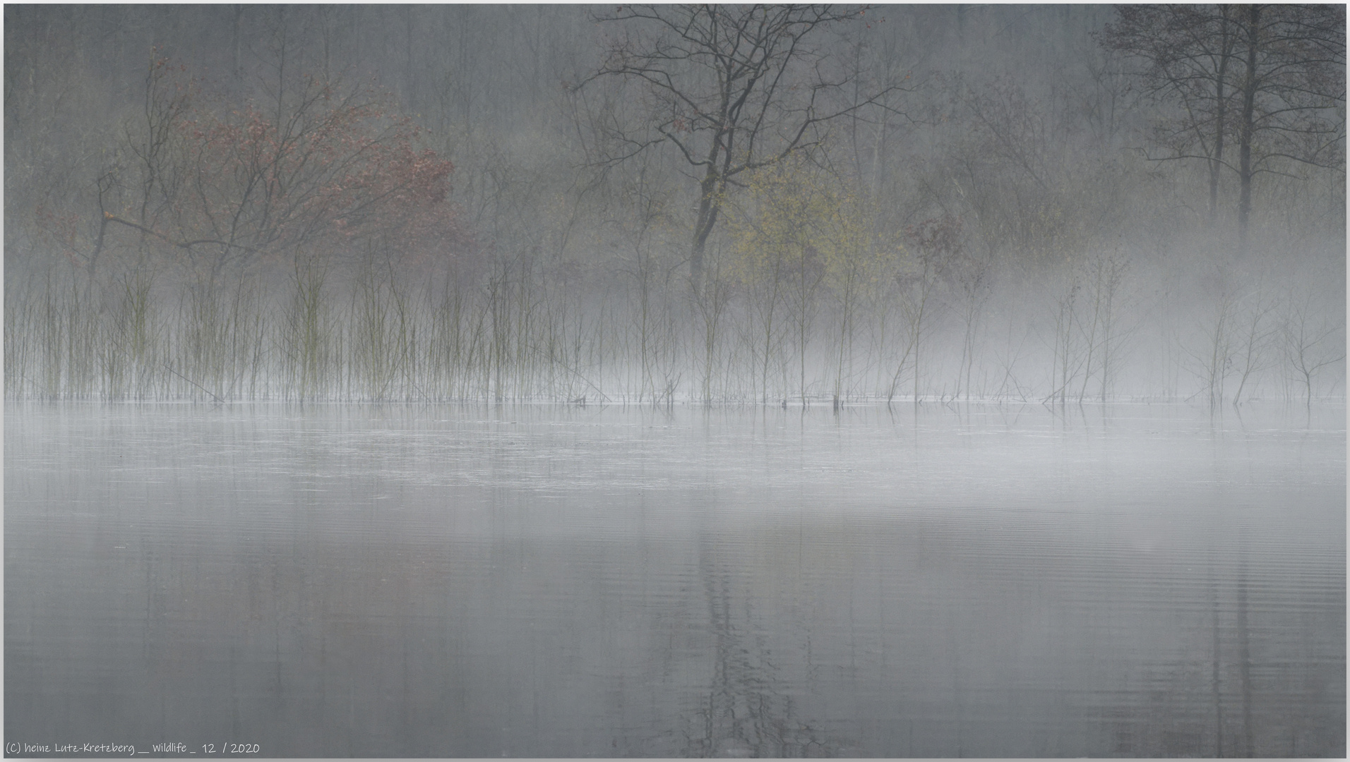 ... Nebel steigt auf  ..