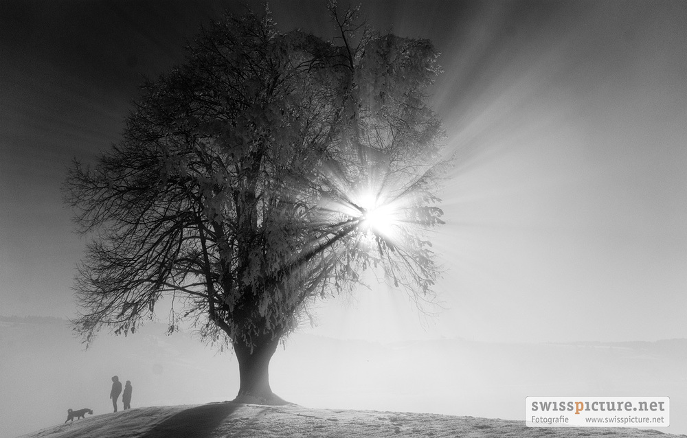 Nebel steigt auf