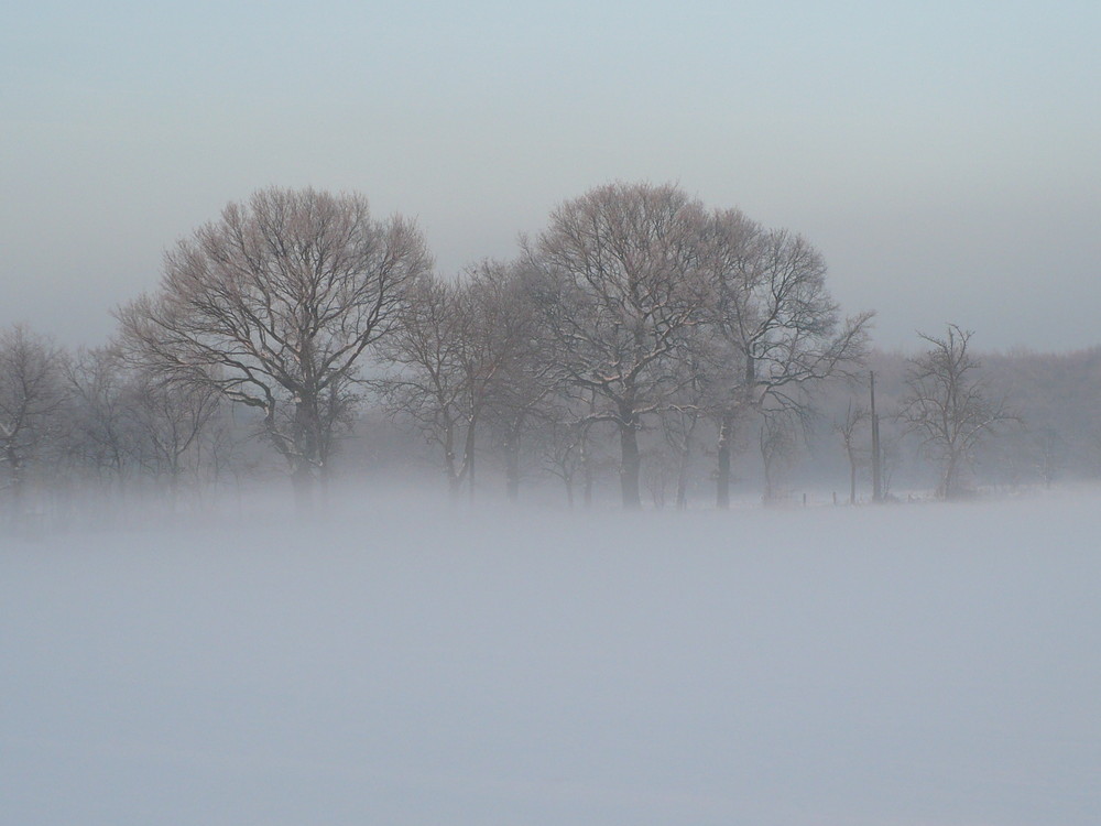 Nebel steigt auf