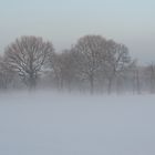 Nebel steigt auf