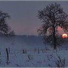 Nebel stieg auf ...