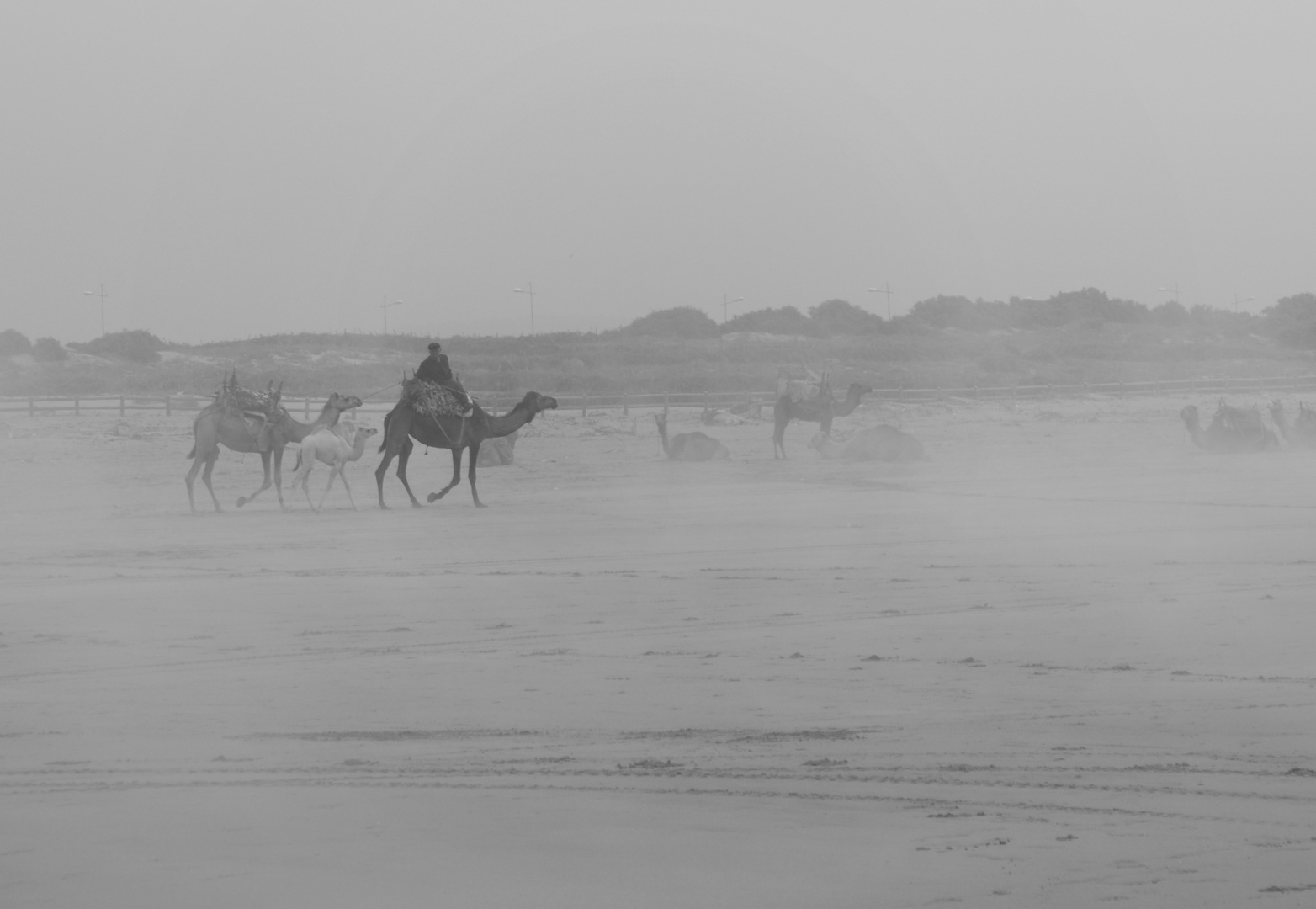 Nebel stiegen auf