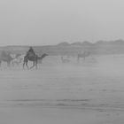 Nebel stiegen auf