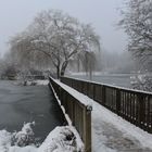 Nebel Stimmung am See