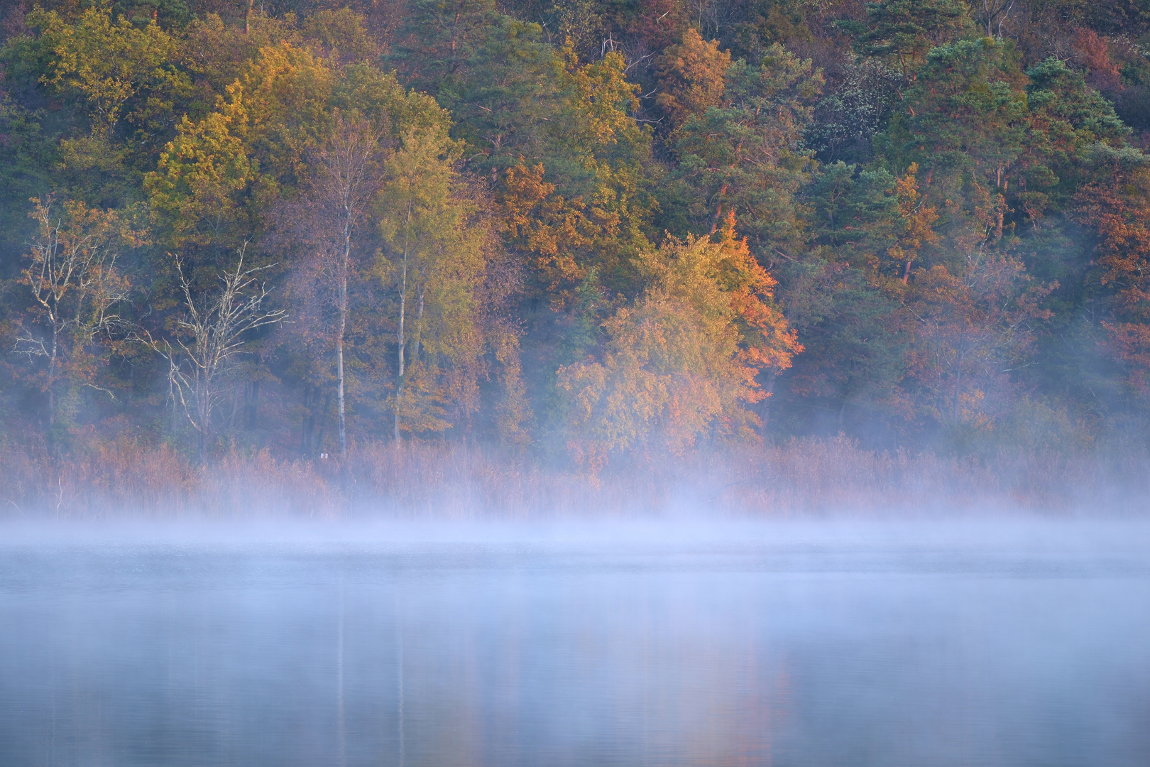 Nebel Stimmung an See