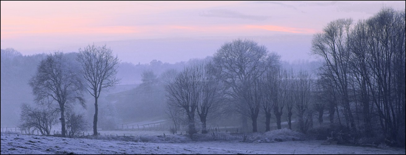 nebel stimmung ...