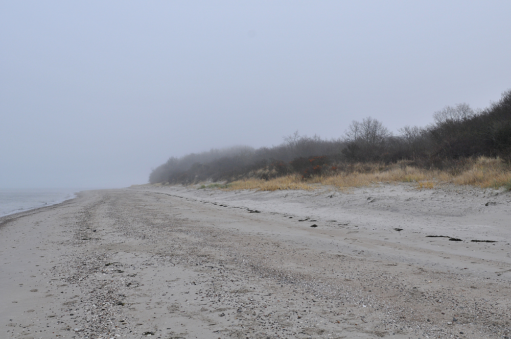 Nebel – Strand: Blick nach Ost