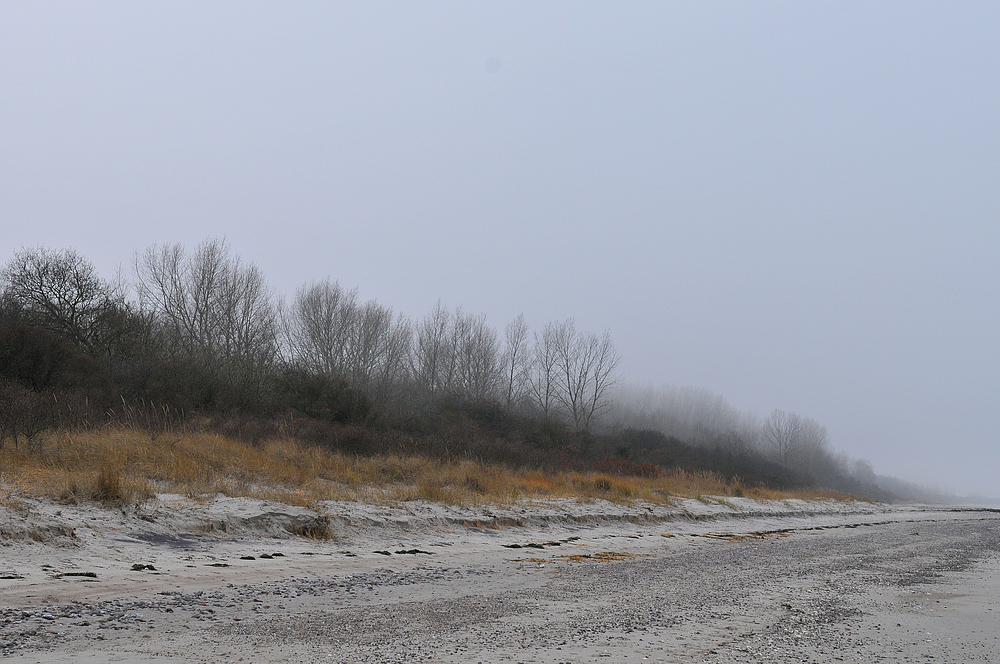 Nebel – Strand: Blick nach West