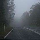 Nebel Straßen in den Blue Mountains