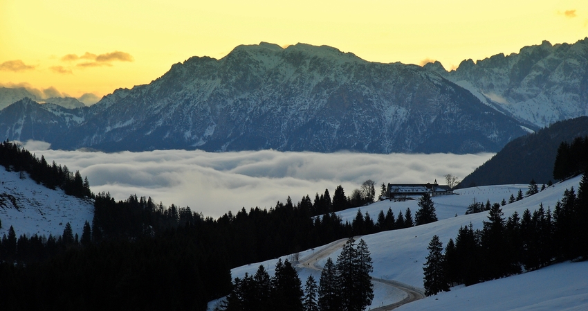 Nebel-Suppe