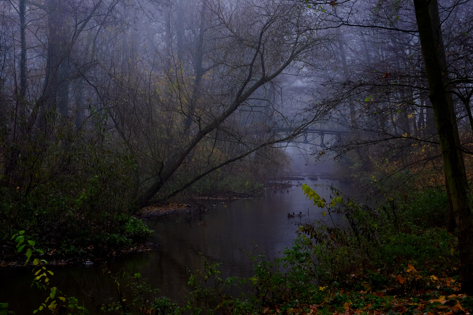 Nebel Tage