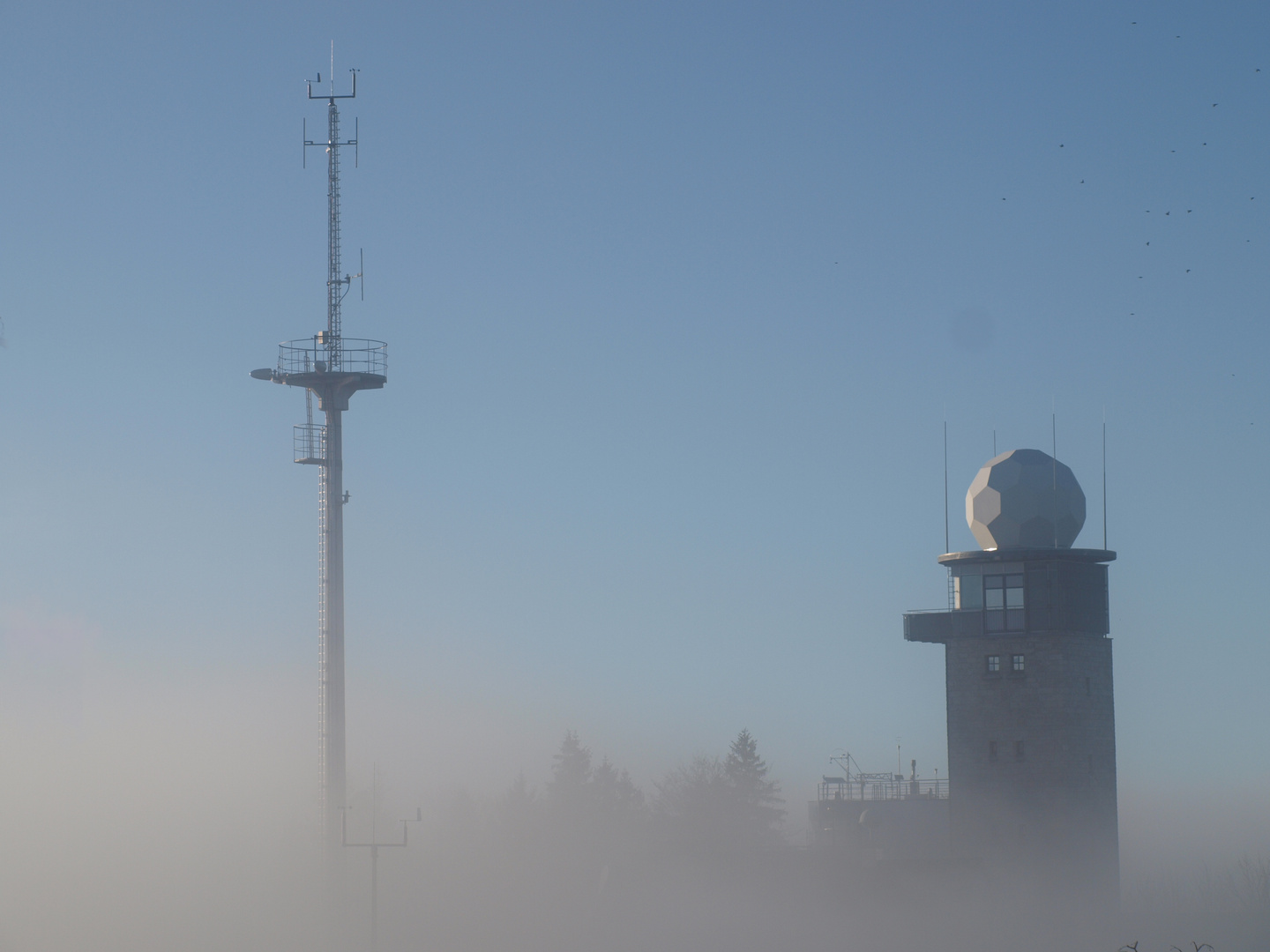 Nebel Teil 2 - Schemenhaft