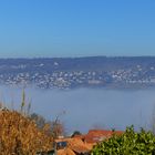 Nebel tief über dem See