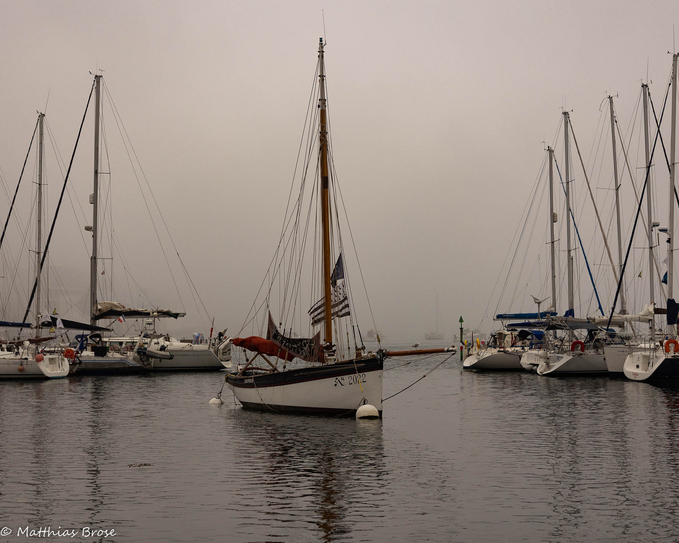 Nebel treibt in den Hafen