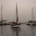 Nebel treibt in den Hafen
