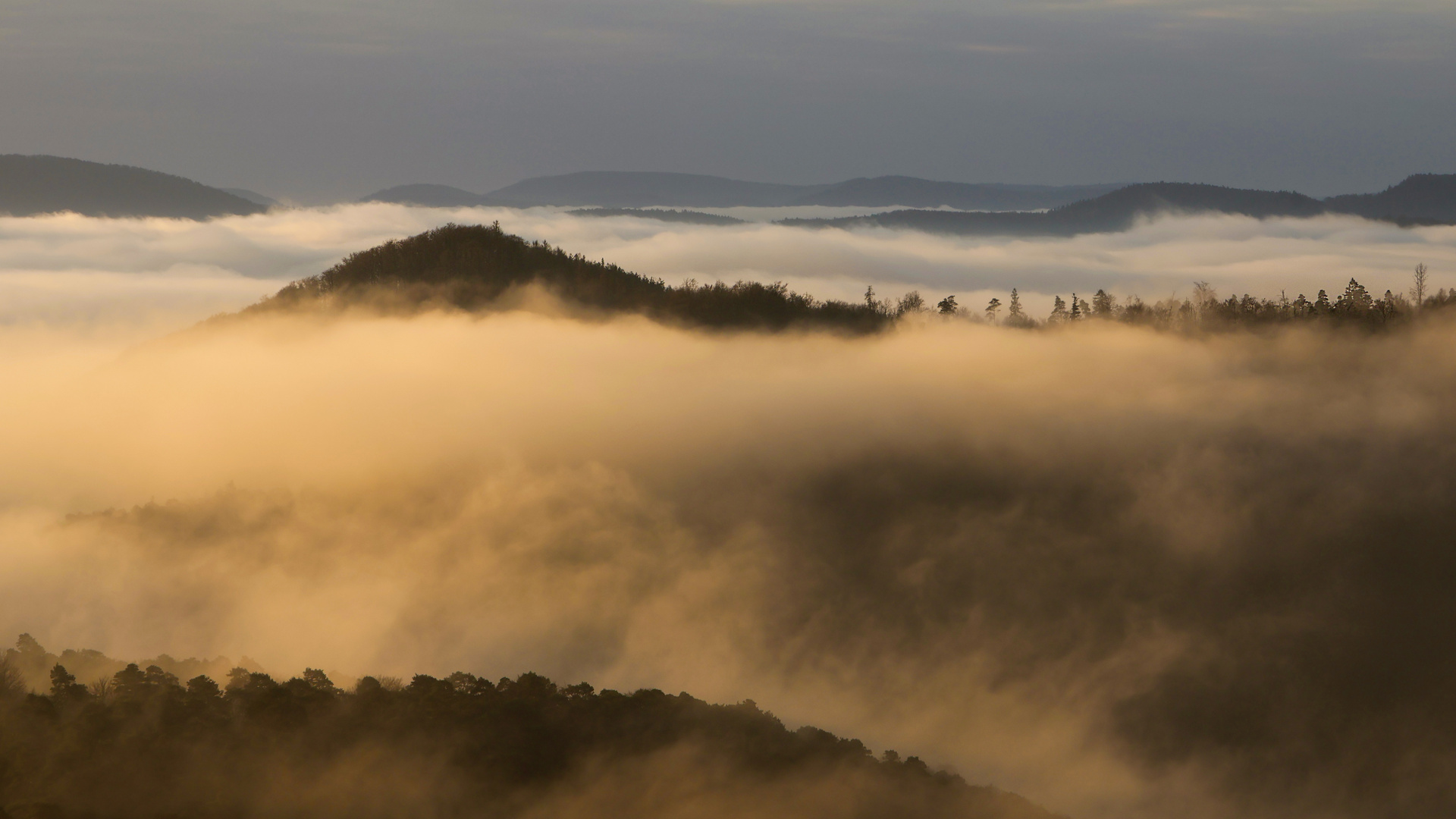 Nebel trifft auf Sonne...