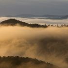 Nebel trifft auf Sonne...