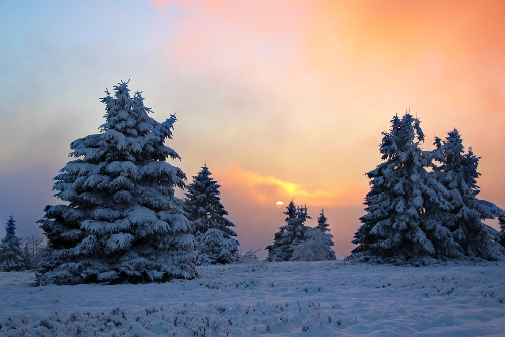 Nebel trifft Sonne