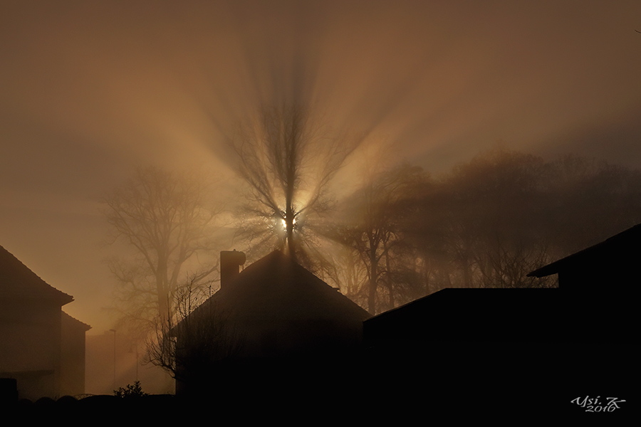 Nebel trifft Sonne in Visselhövede