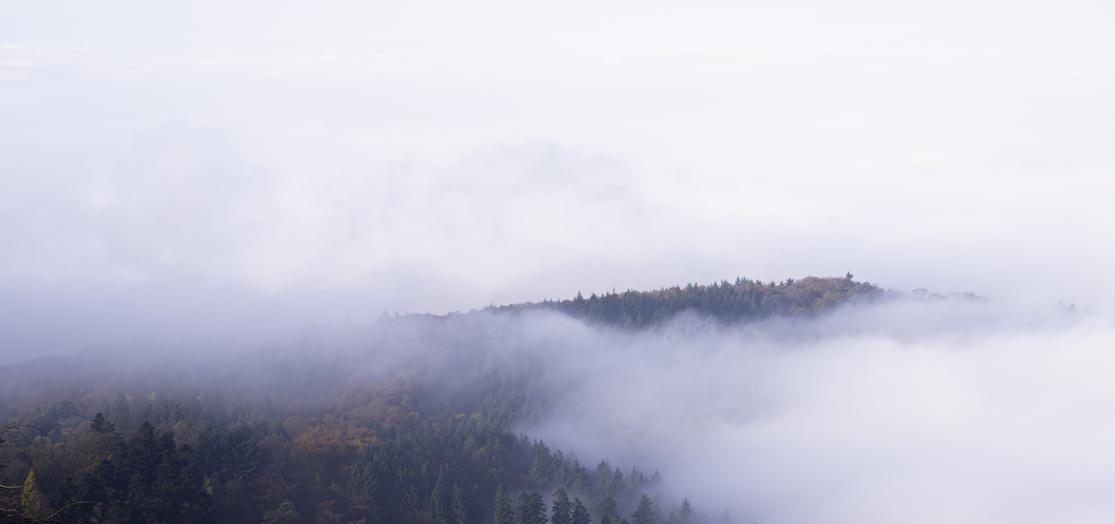 Nebel u?ber Heidelberg