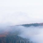 Nebel u?ber Heidelberg