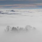 Nebel über Altenberg bei Linz