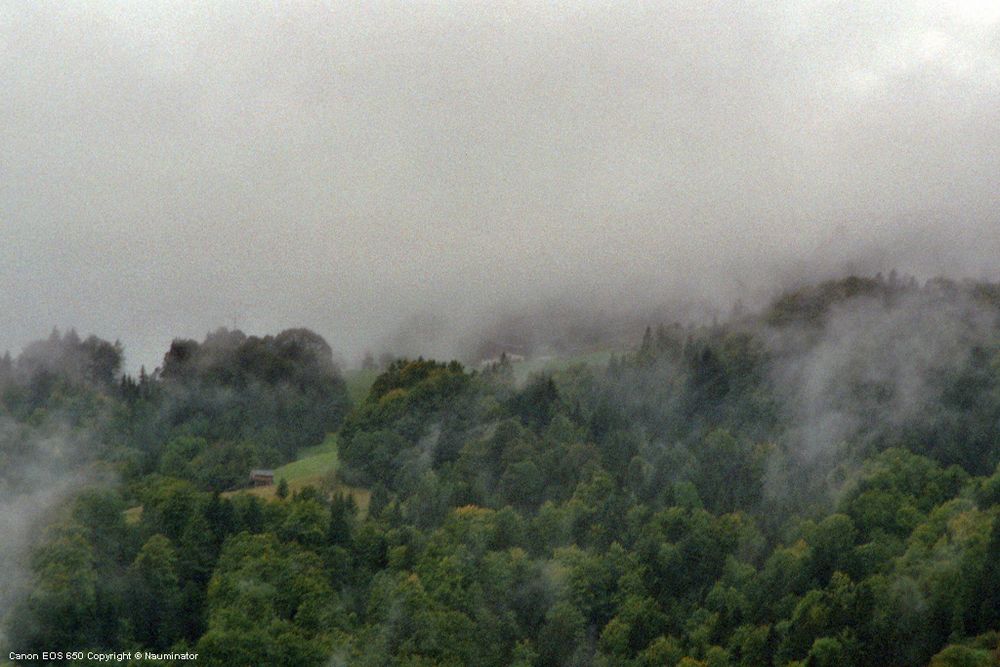 Nebel über Bad Goisern