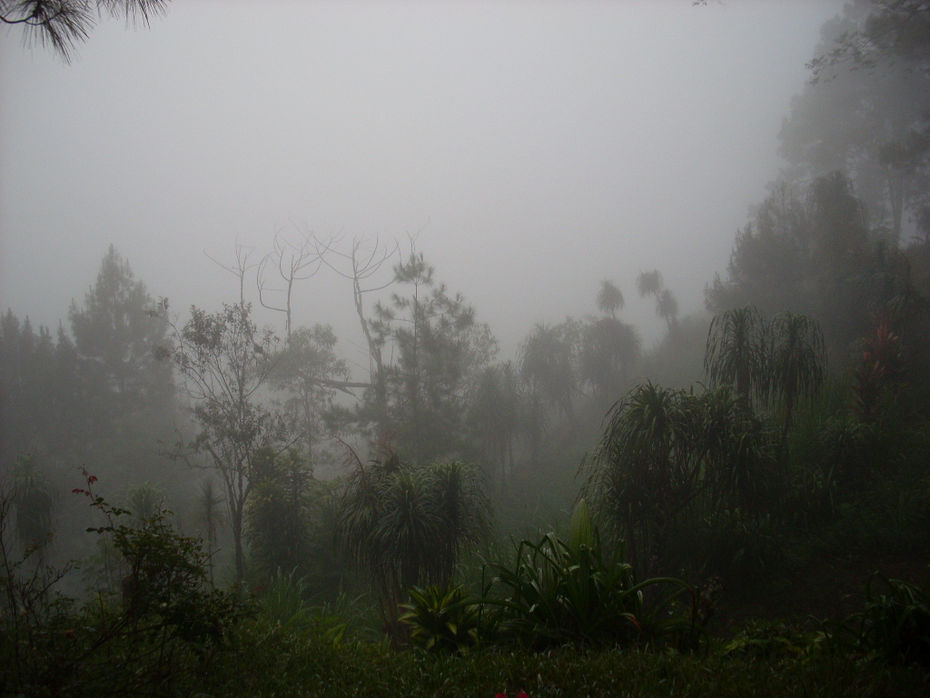 Nebel über Cobán (Guatemala)